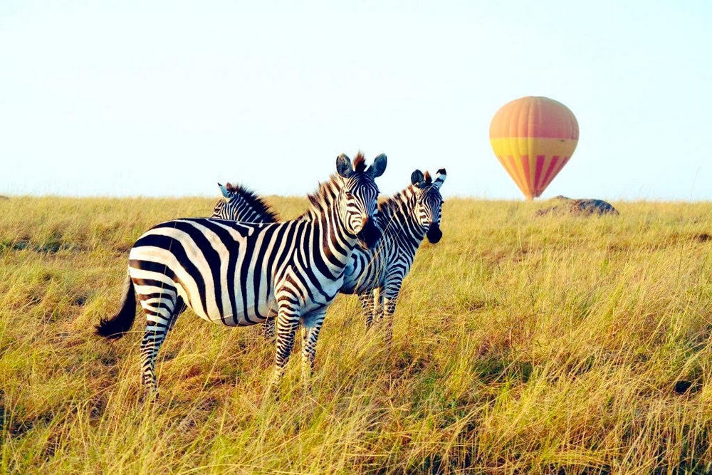 safari-Maasai-Mara balloon safari