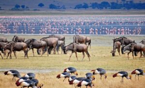 Lake-Manyara-National-Park