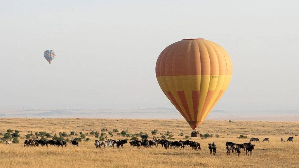 maasai mara balloon