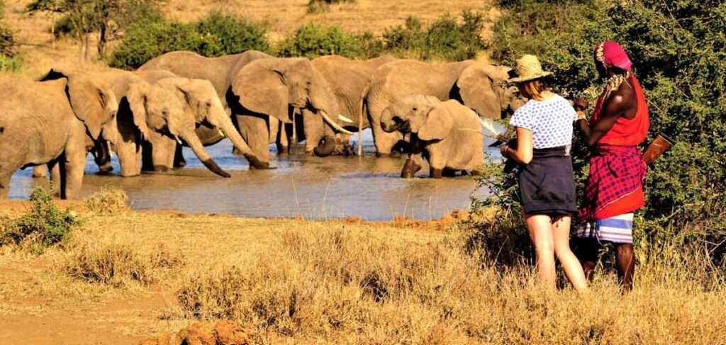 cultural vacations and safaris