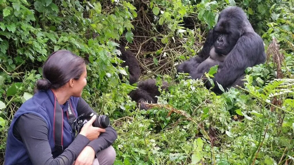 Rwanda for gorilla trekking