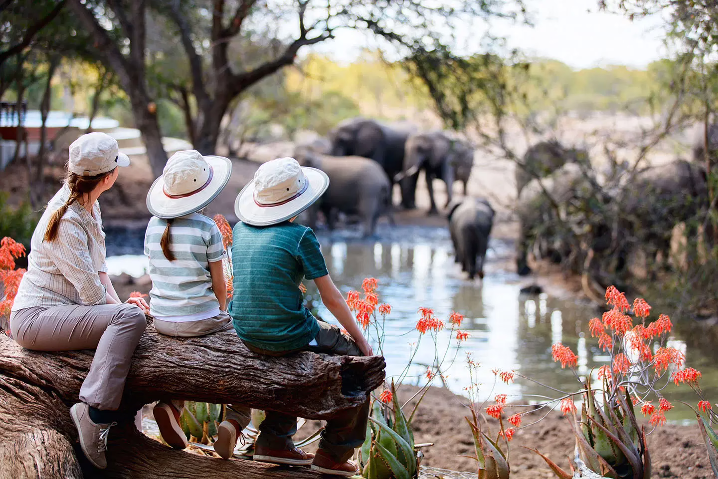 Family friendly safari lodge experience in Kenya