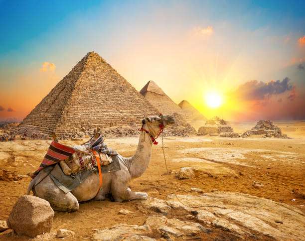 egypt safaris