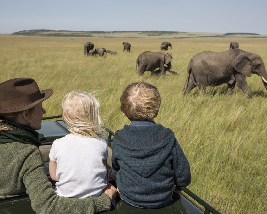 Ultimate Family Safari Experience