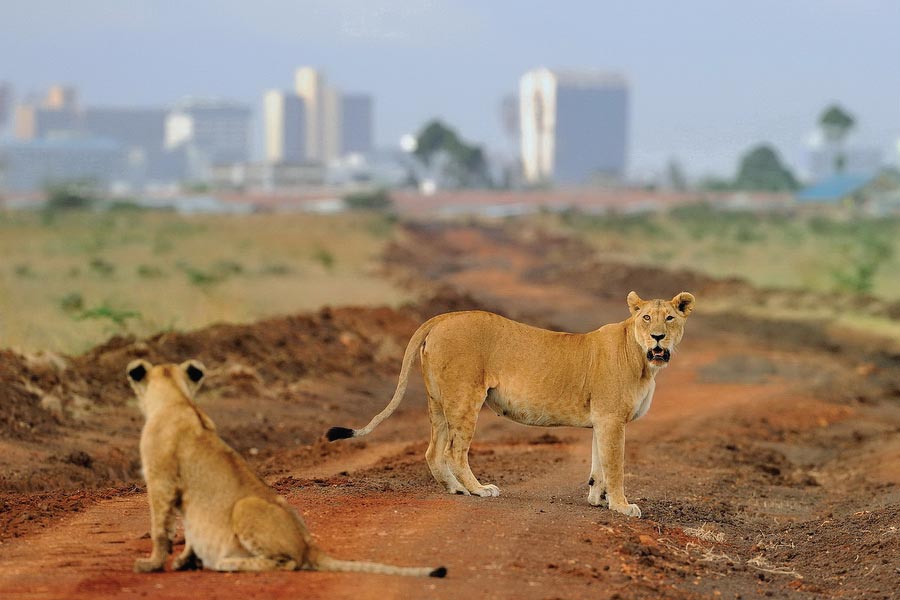 nairobi tourism