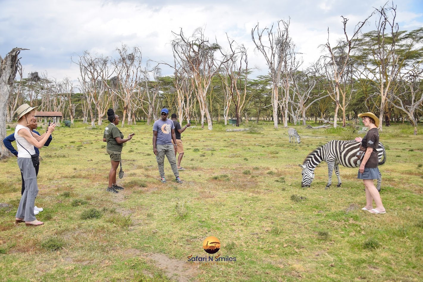 zebra