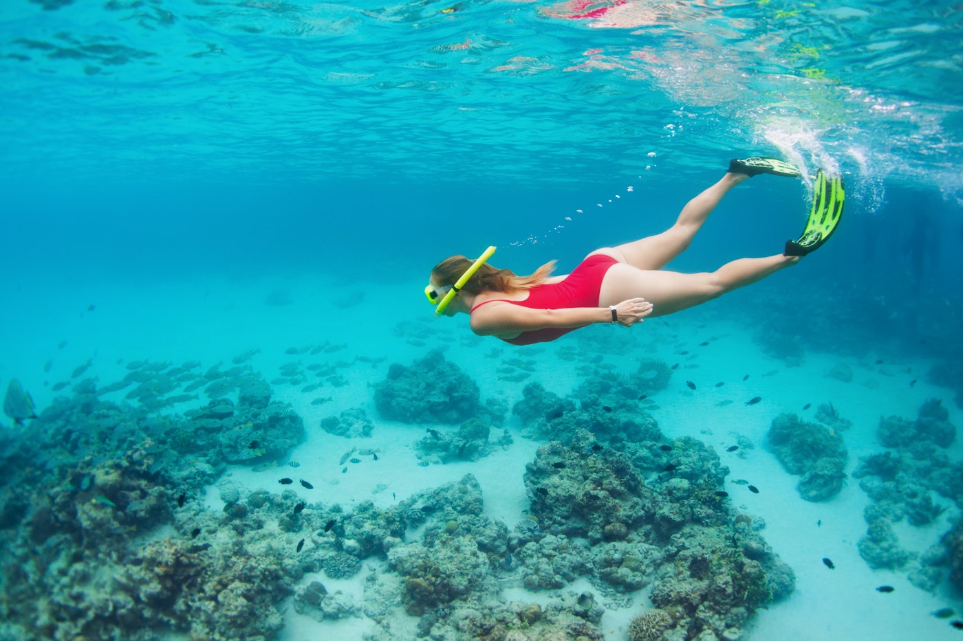 snorkeling