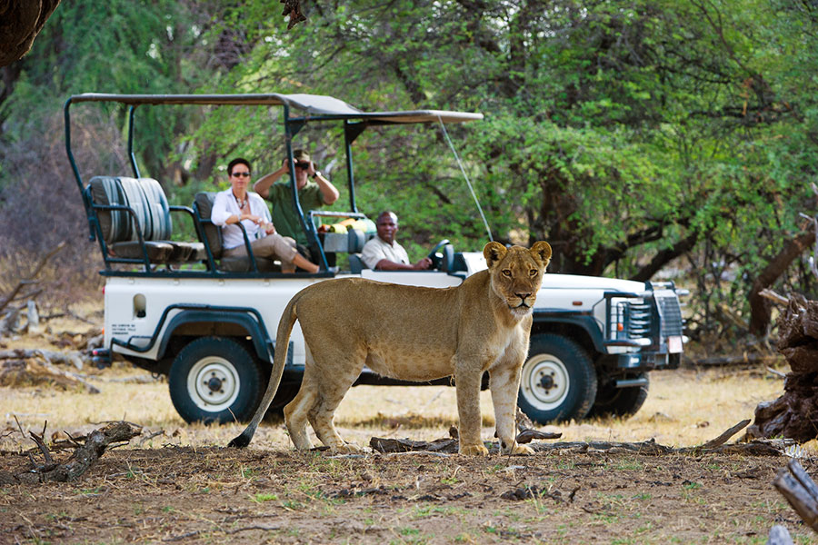 zimbambwe safari
