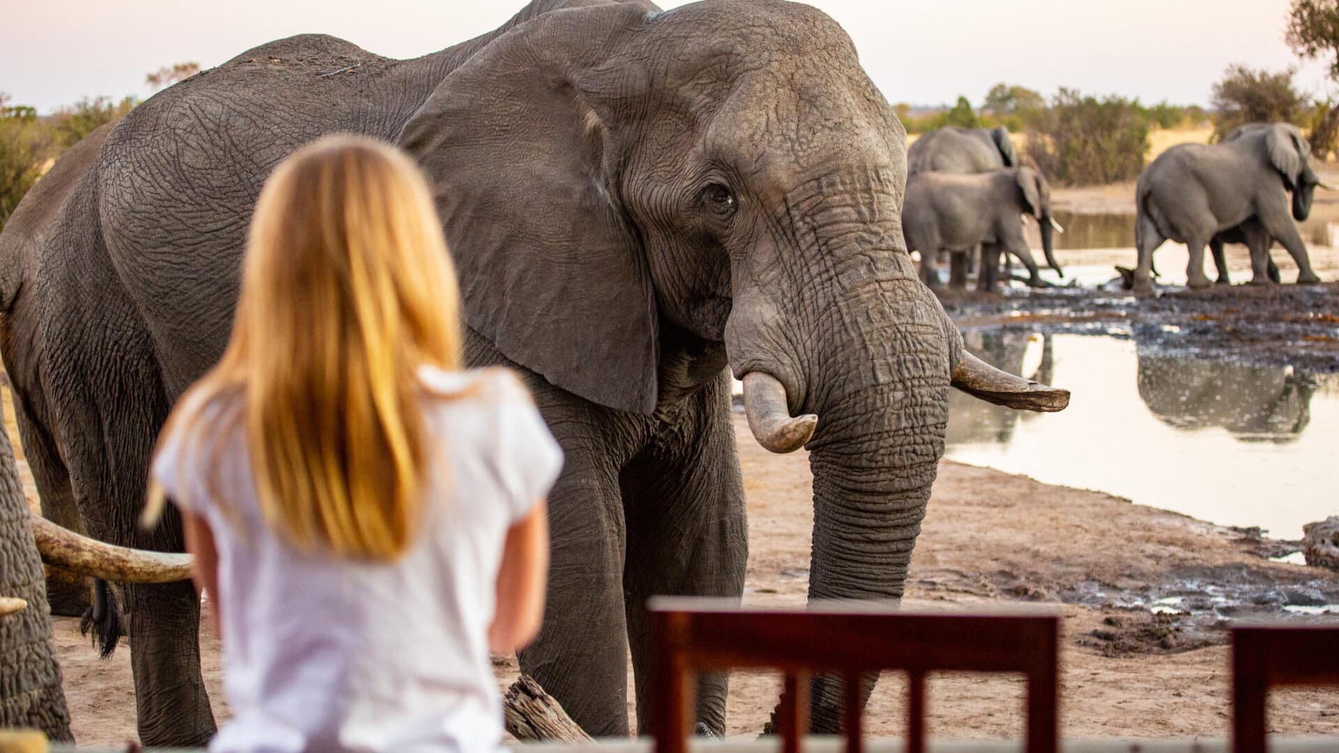 A girl gets up close and personal with an African elephant at the Nehimba Safari Lodge in Hwange National Park, Zimbabwe Africa