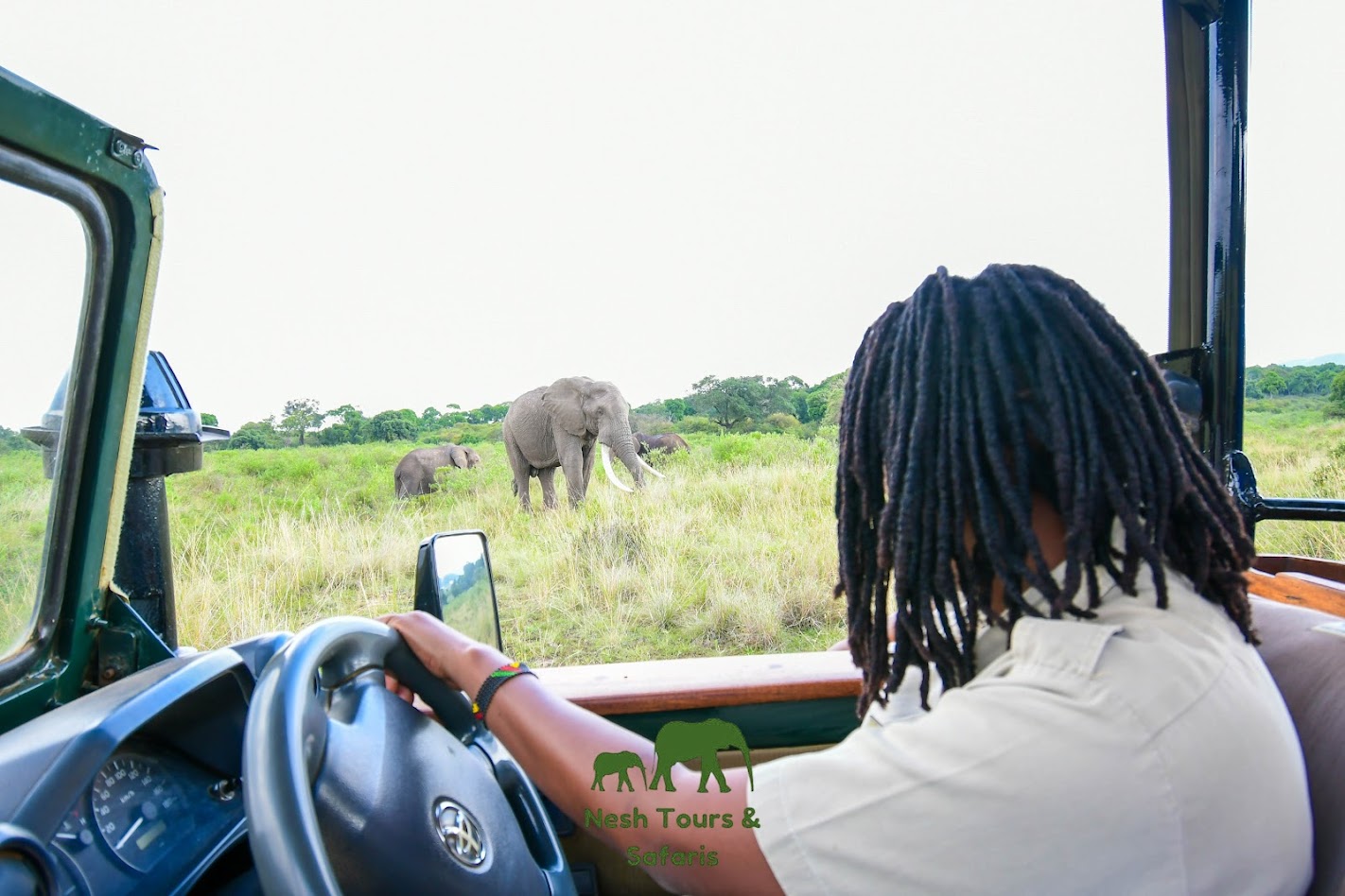 maasai mara
