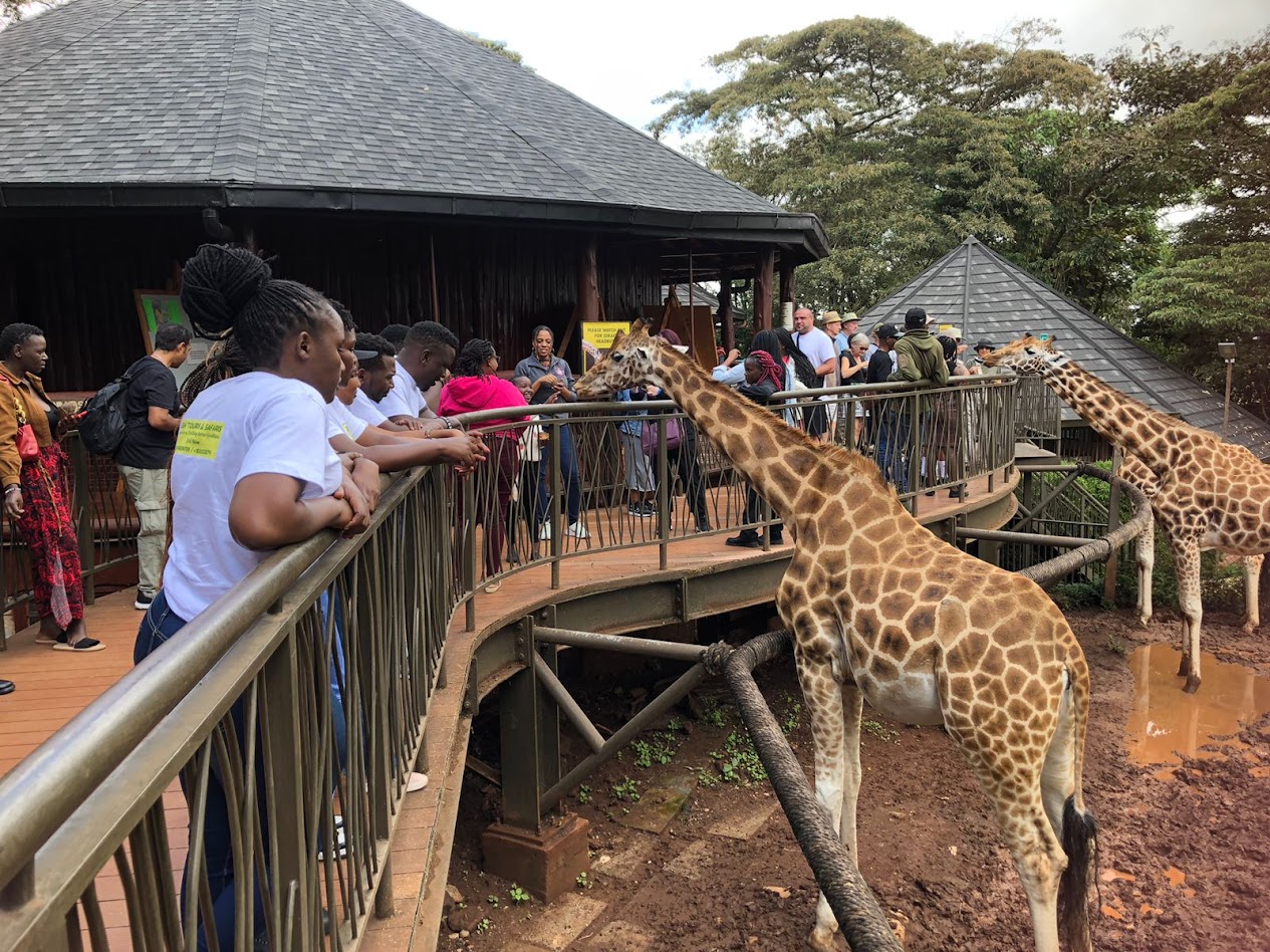 giraffe centere