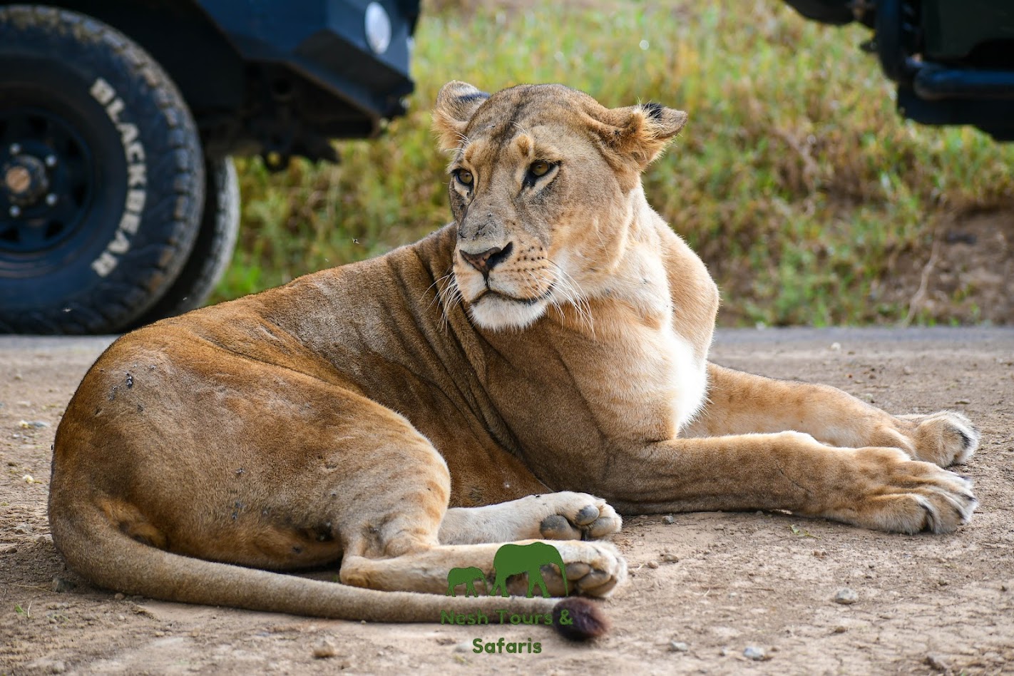nairobi nationl park