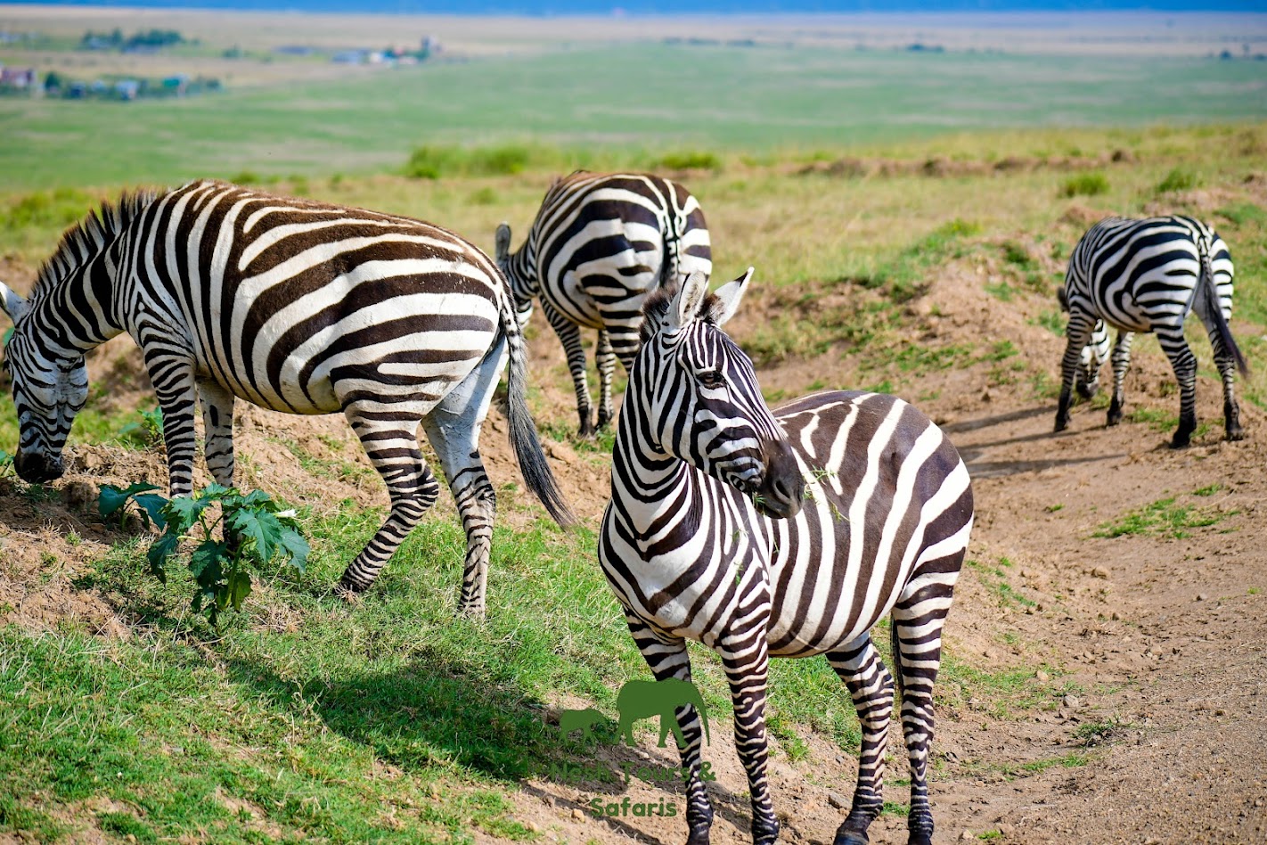 nakuru national park