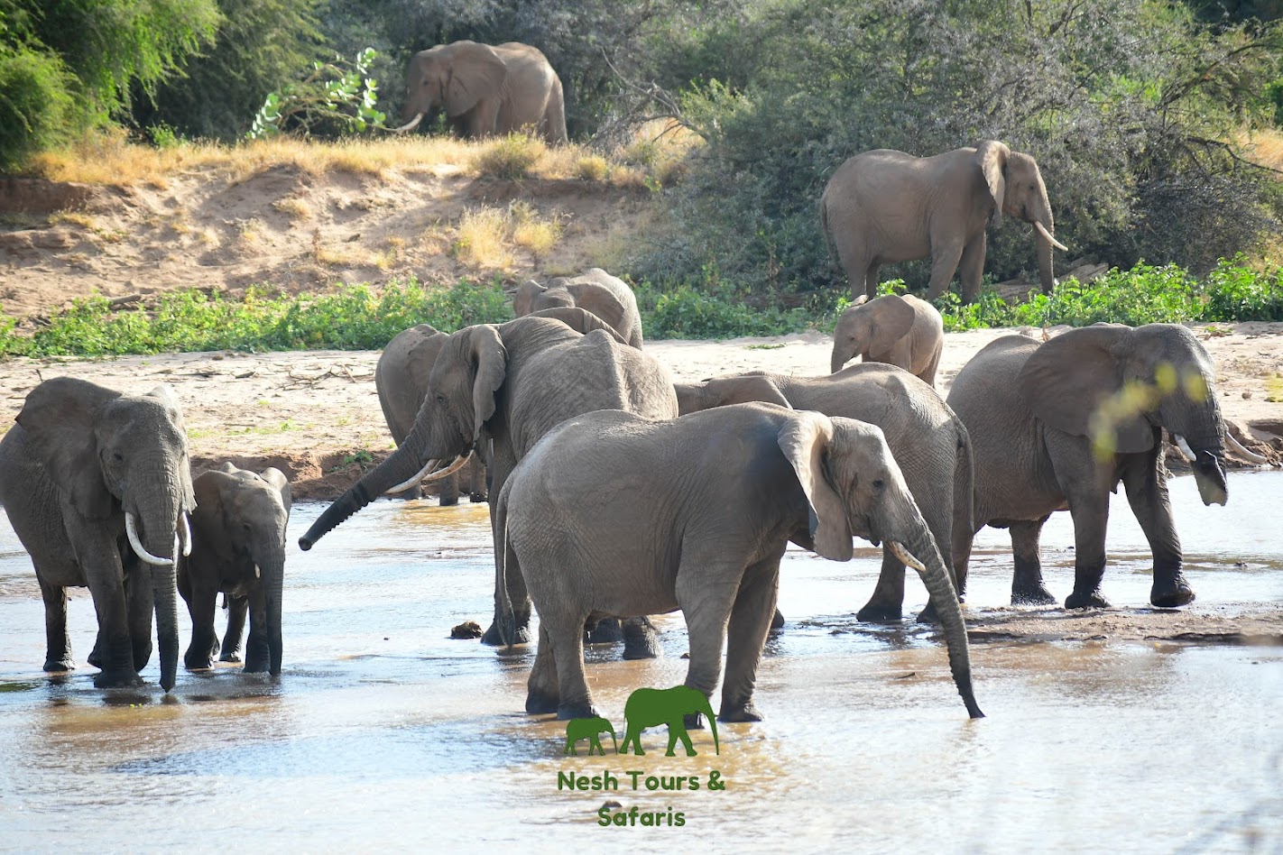 samburu park