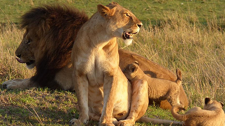tsavo