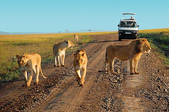 Kilaguni Serena Safari Lodge