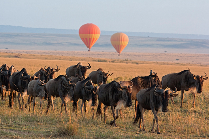 hot air balloon