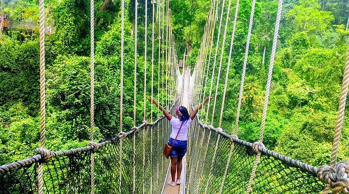 Kakum National Park3