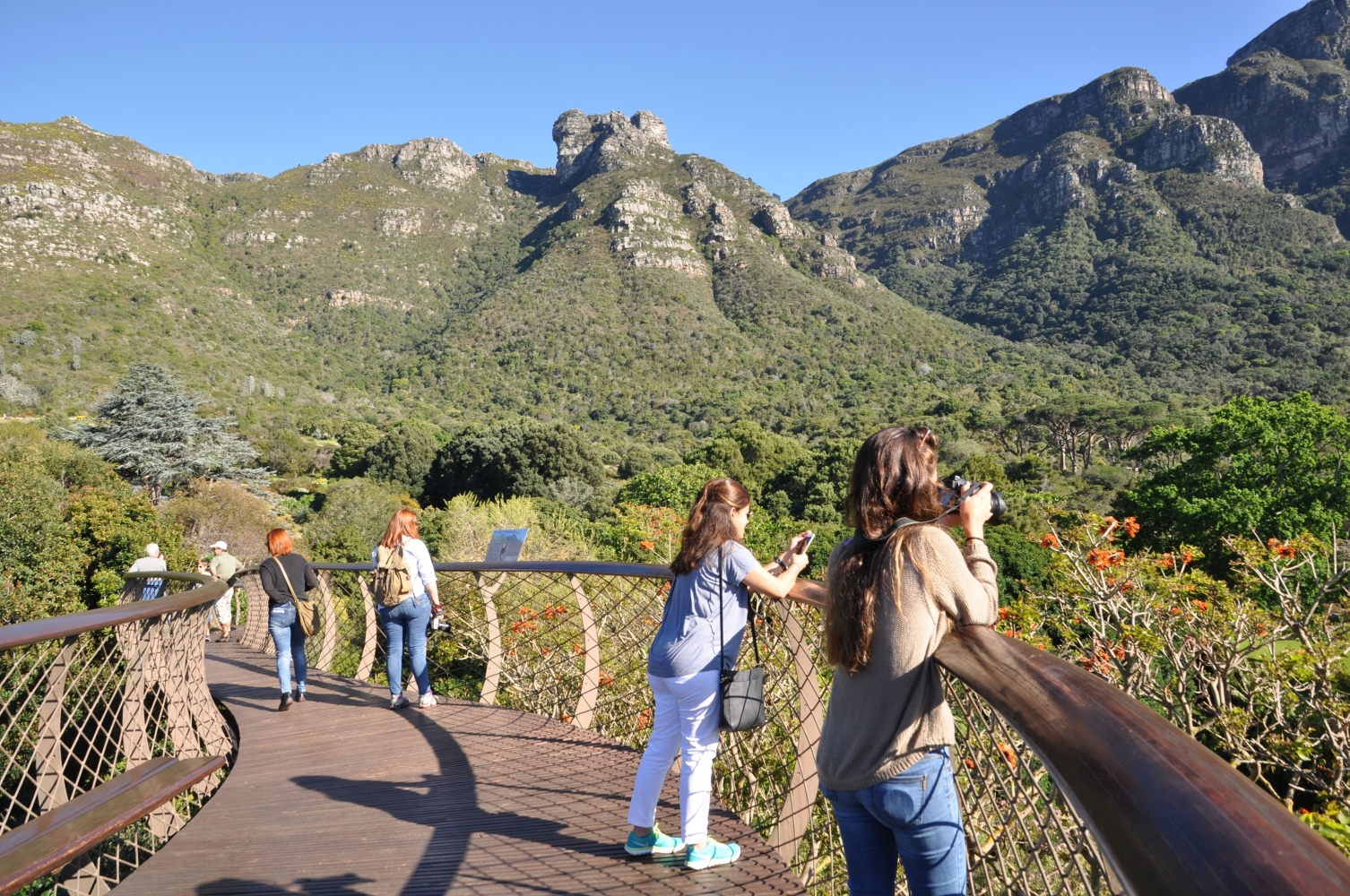 Kirstenbosch National Botanical Garden