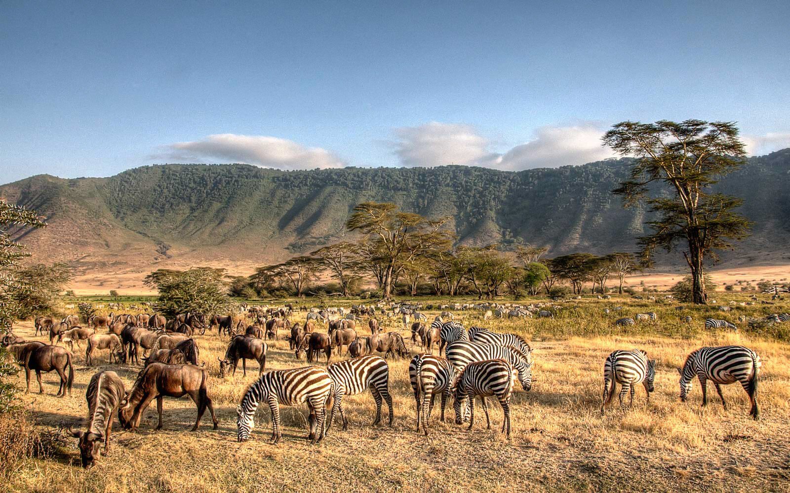 Ngorongoro Conservation Area