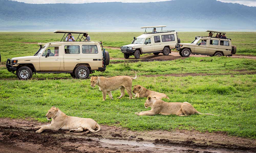 tanzania safaris