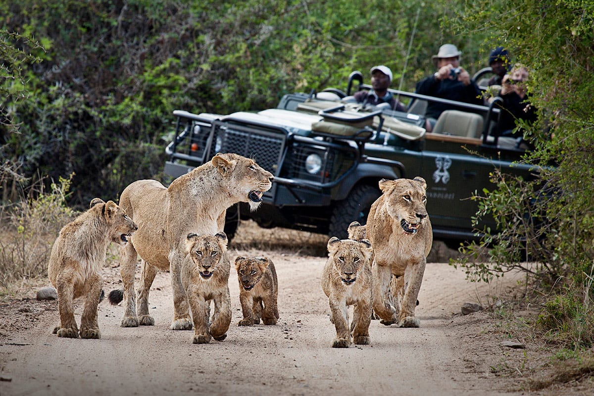 South Africa Greater Kruger