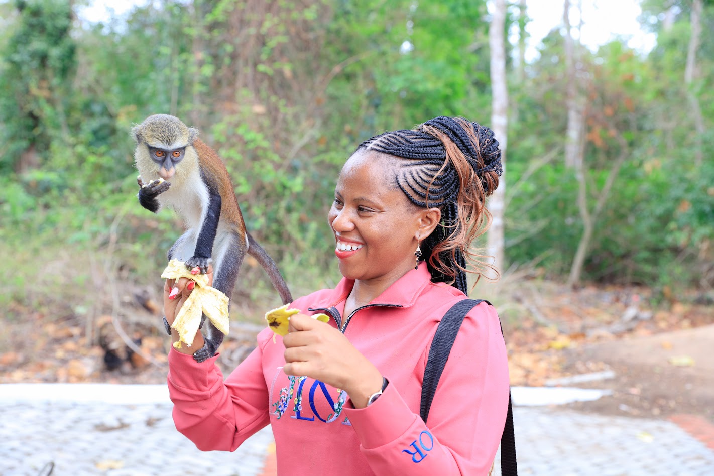Tafi Atome Monkey Sanctuary