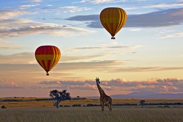 hot air balloon