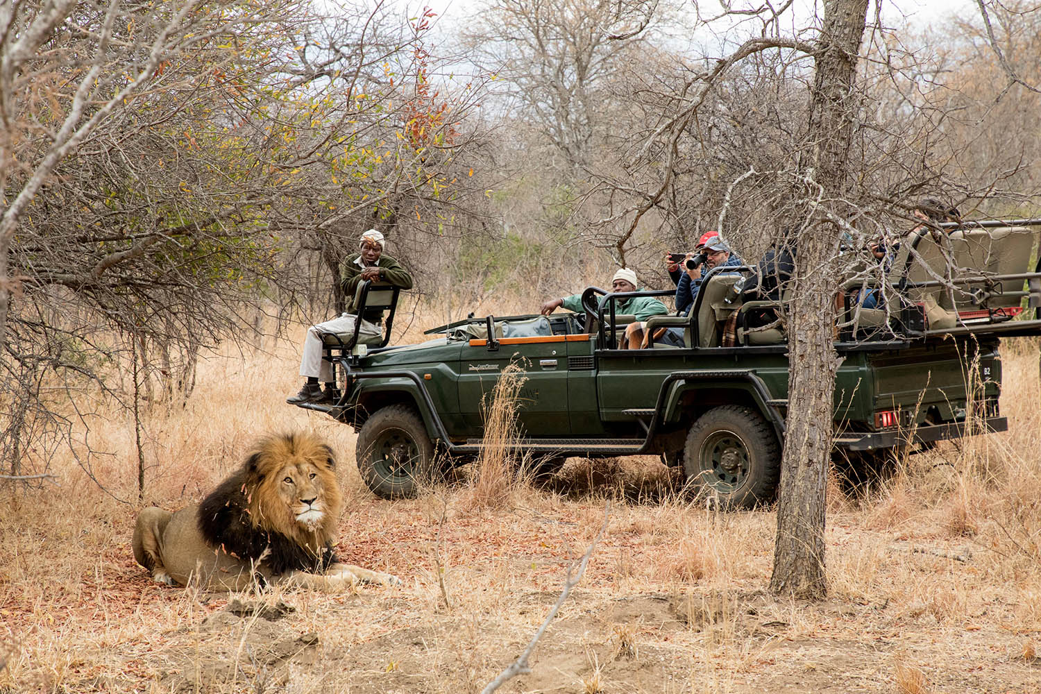 karongwe big 5