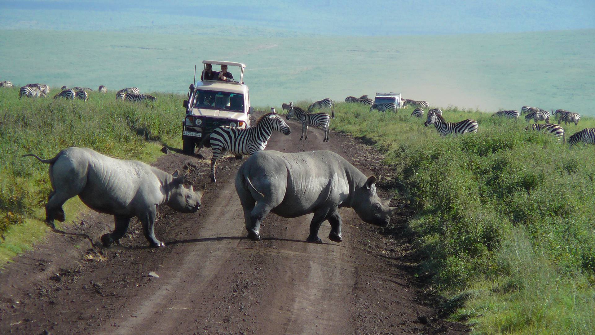 ngorongoro crater trip