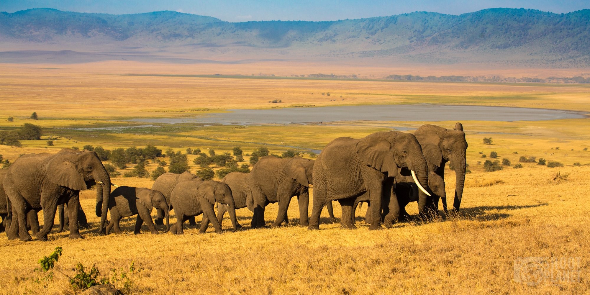 Ngorongoro Crater,