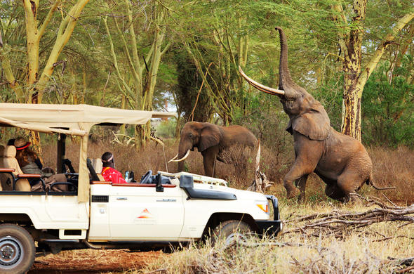 Tsavo West National Park2