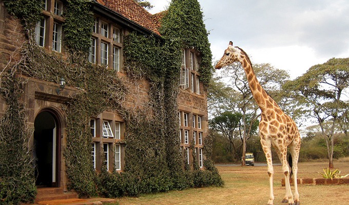 Karen Blixen Museum Day Tou