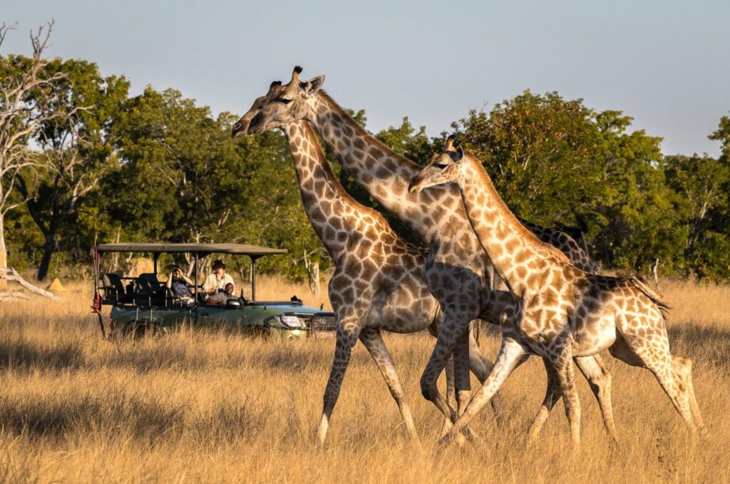Lake Nakuru National Park