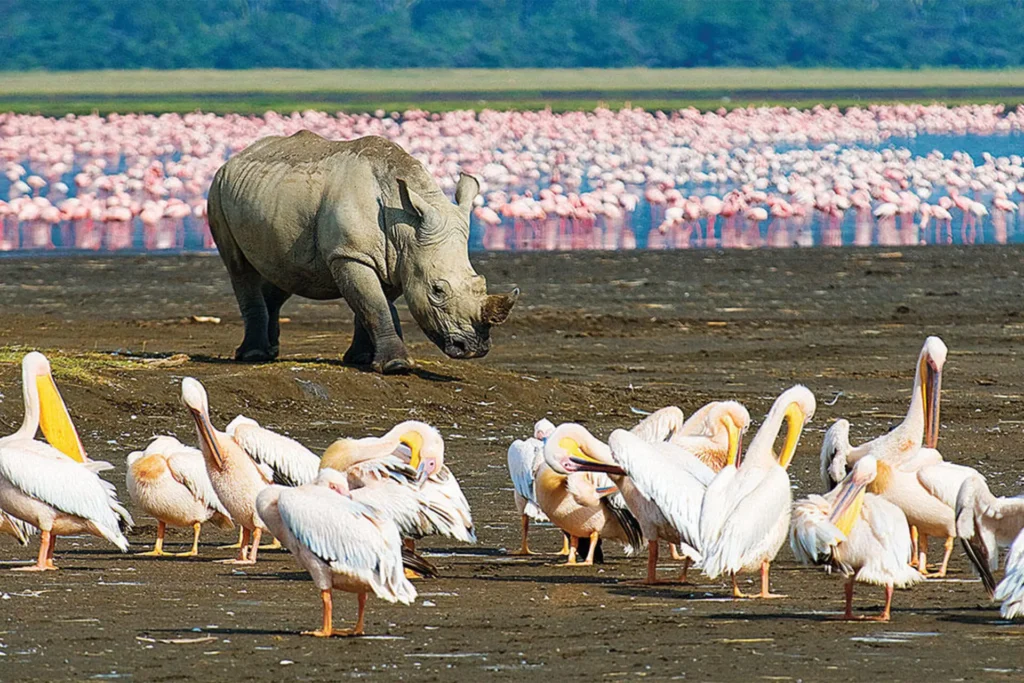 Lake Nakuru National Park