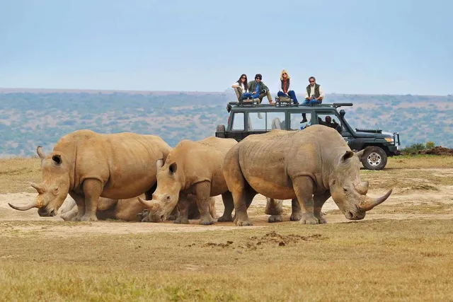 Lake Nakuru National Park Game Drive