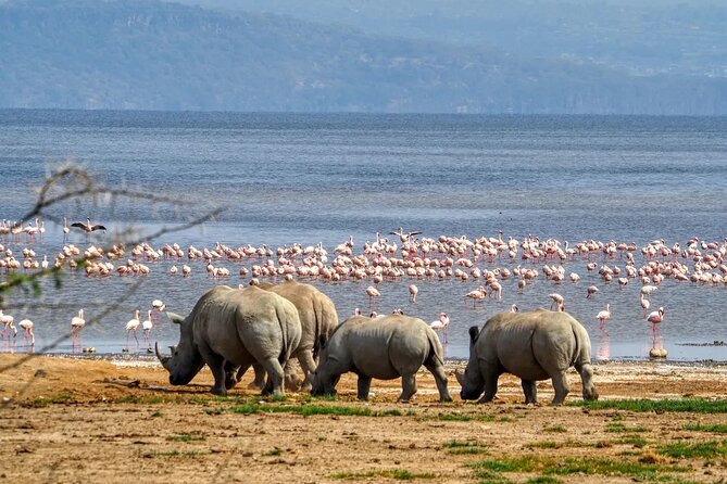 lake nakuru park