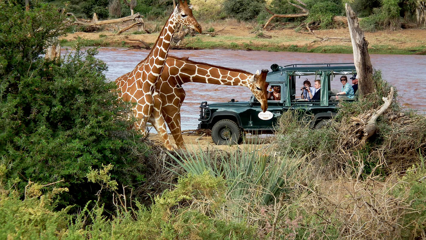 Samburu National Reserve safari landscape
