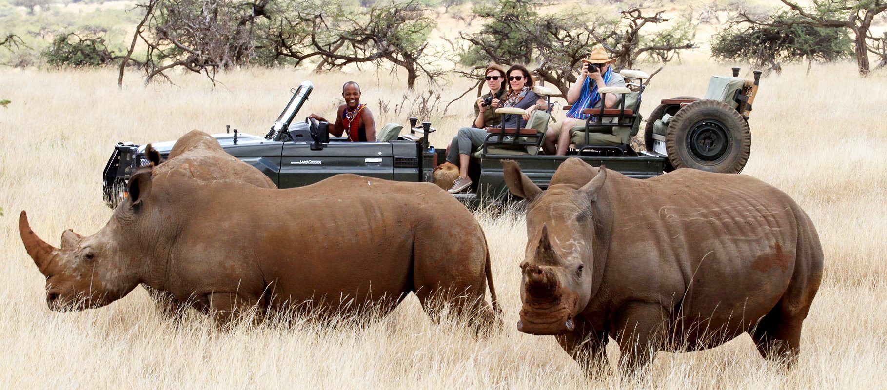 Lewa Wildlife Conservancy landscape