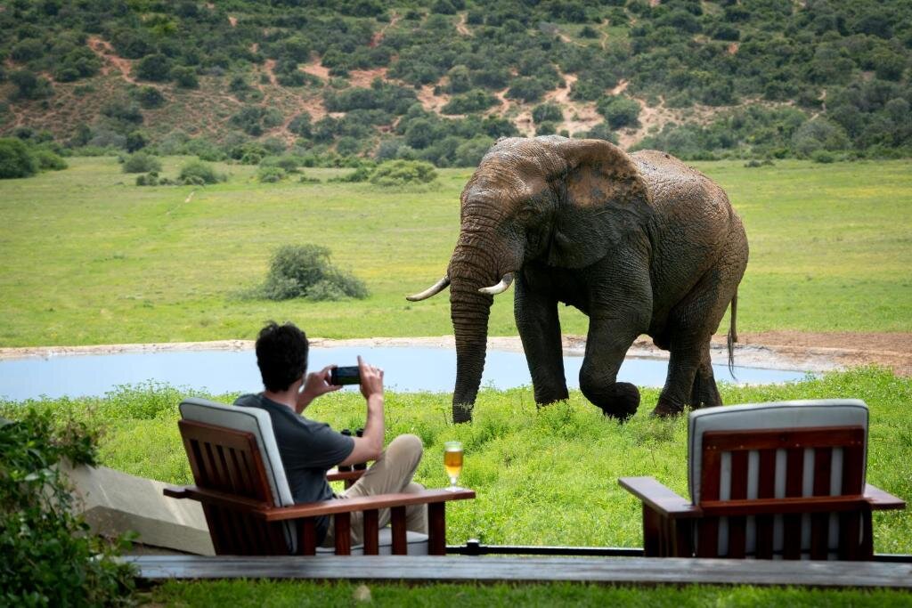 Addo Elephant National Park safari South Africa