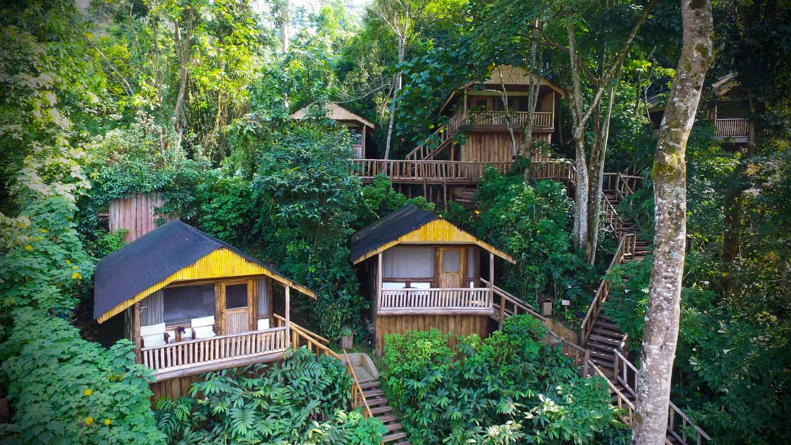 Buhoma Lodge Uganda safari
