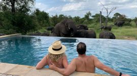 Feature-RockFig-Safari-Lodge-Timbavati-South-Africa